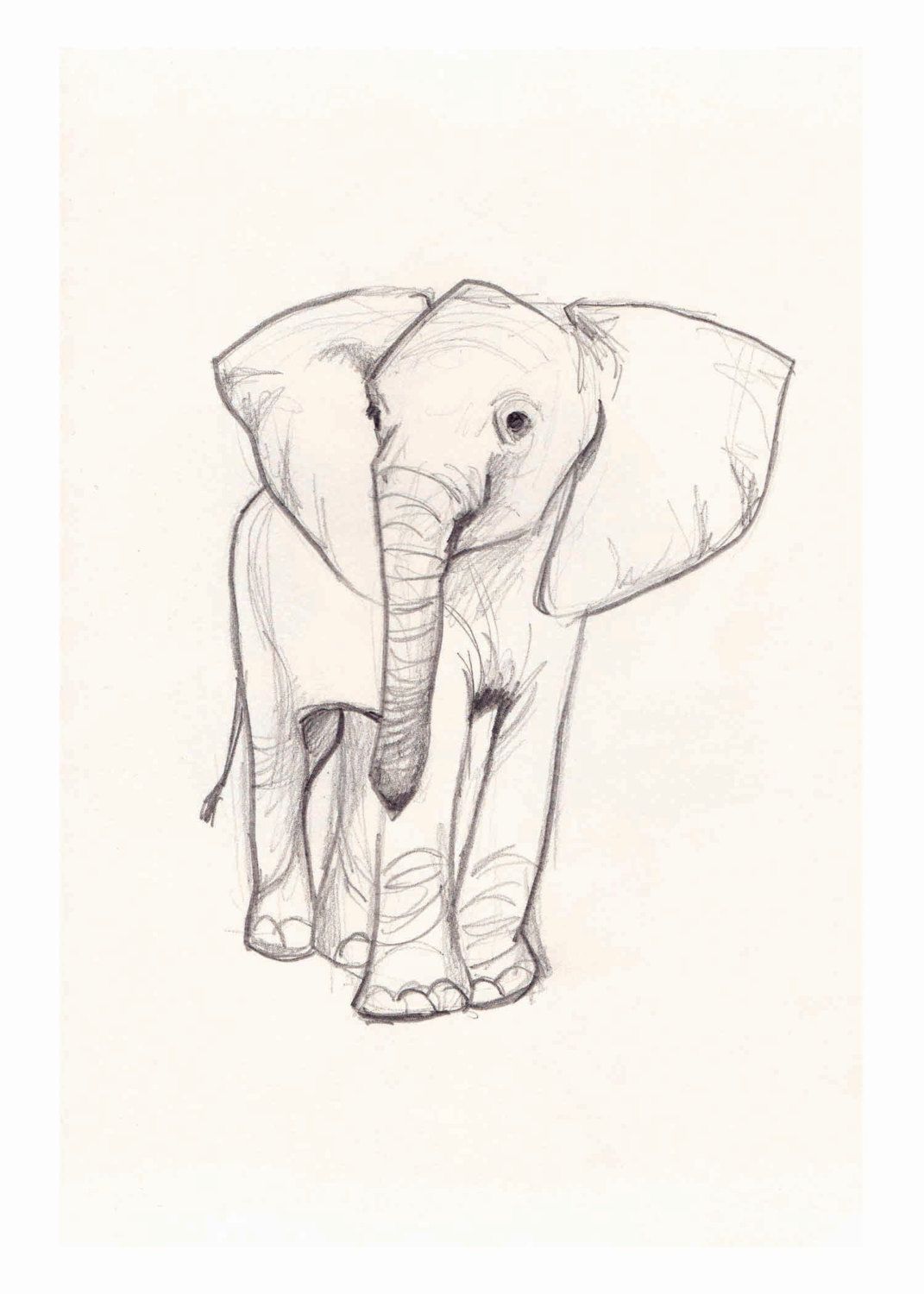 Elephant Sketch Easy at PaintingValley.com | Explore collection of ...