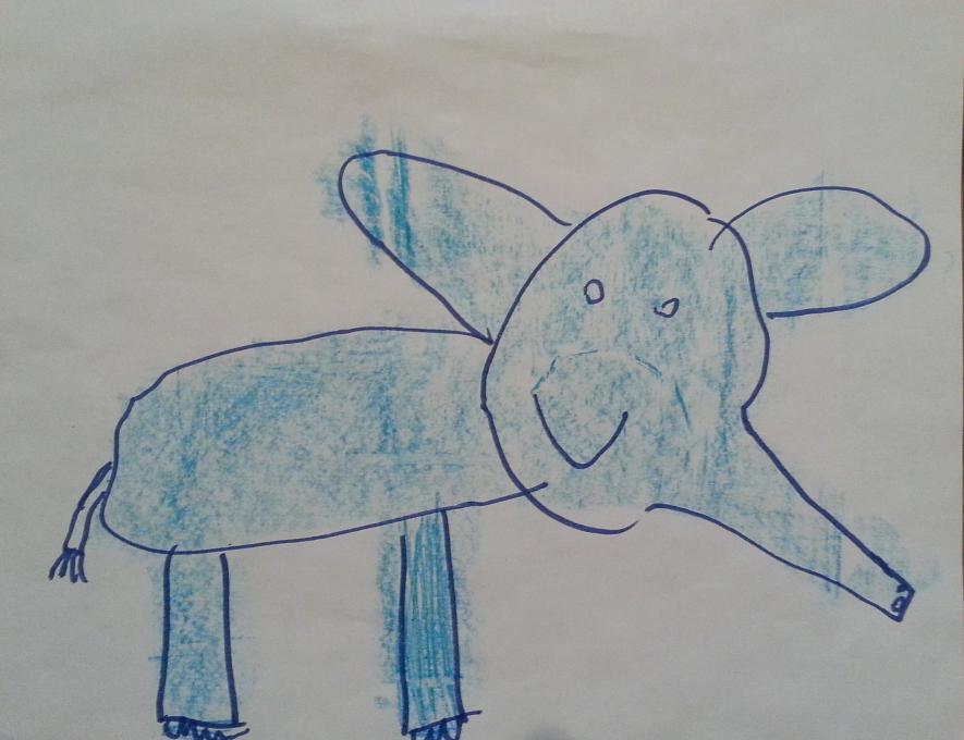 885x680 Elephant By Ada. Nature. Drawings. Pictures. Drawings Ideas For - Elephant Sketch For Kids