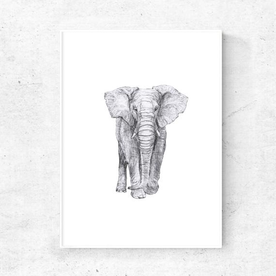 570x570 Elephant Sketch Art Elephant Decor Printable Wall Art Light Etsy - Elephant Sketch Images