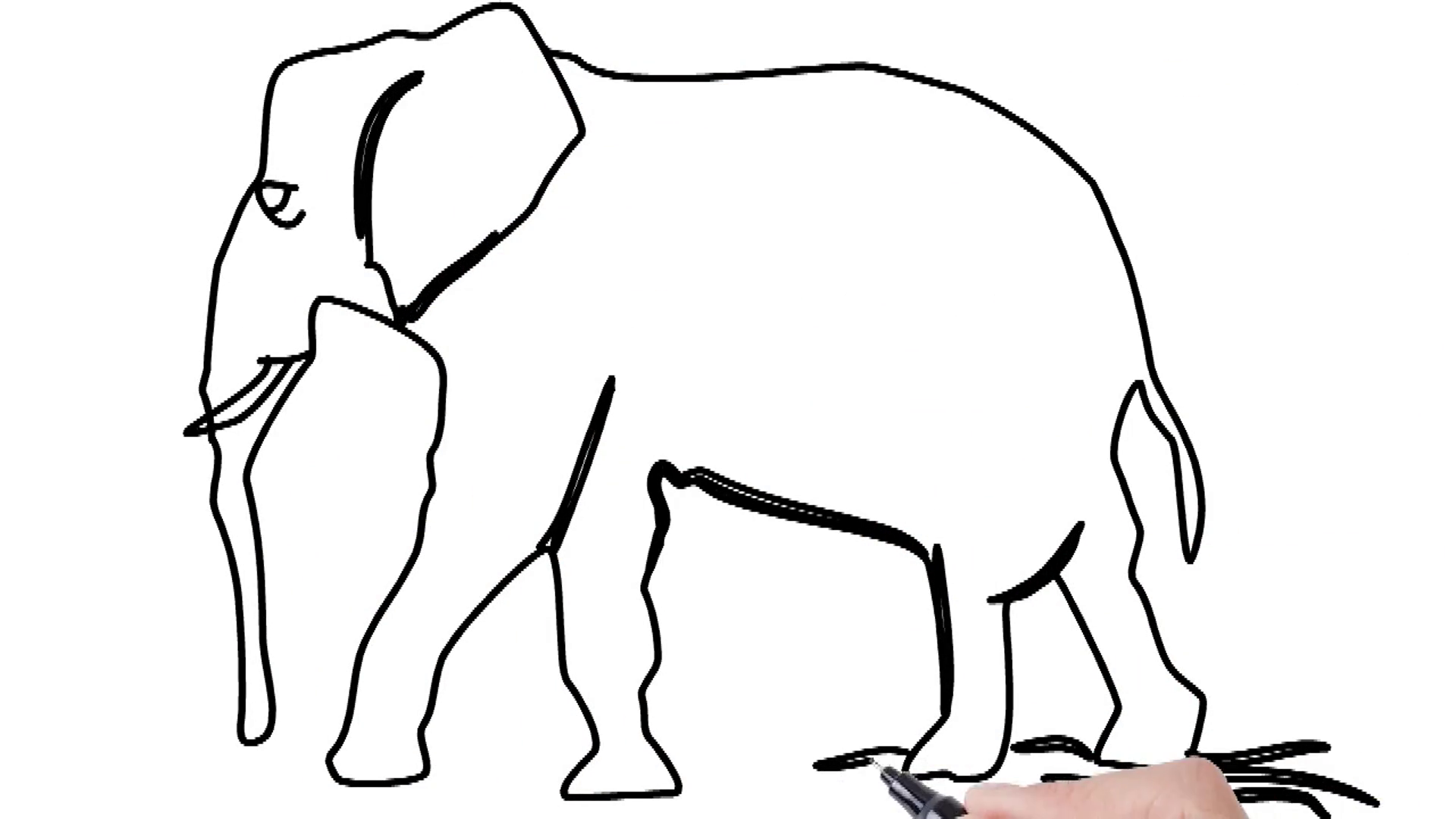 1920x1080 Man Sketching Elephant On Whiteboard Background. Animated Sketch - Elephant Sketch Images