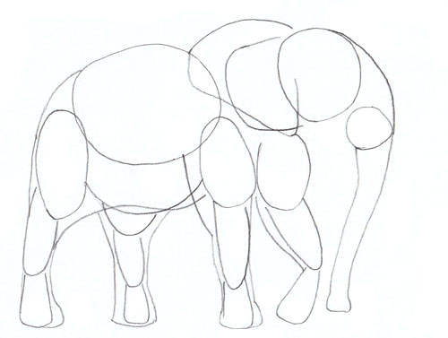 500x377 How To Draw An Elephant - Elephant Sketch Picture
