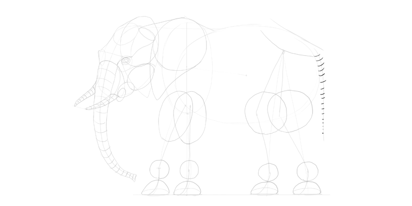 850x425 How To Draw An Elephant Step By Step - Elephant Sketch Picture