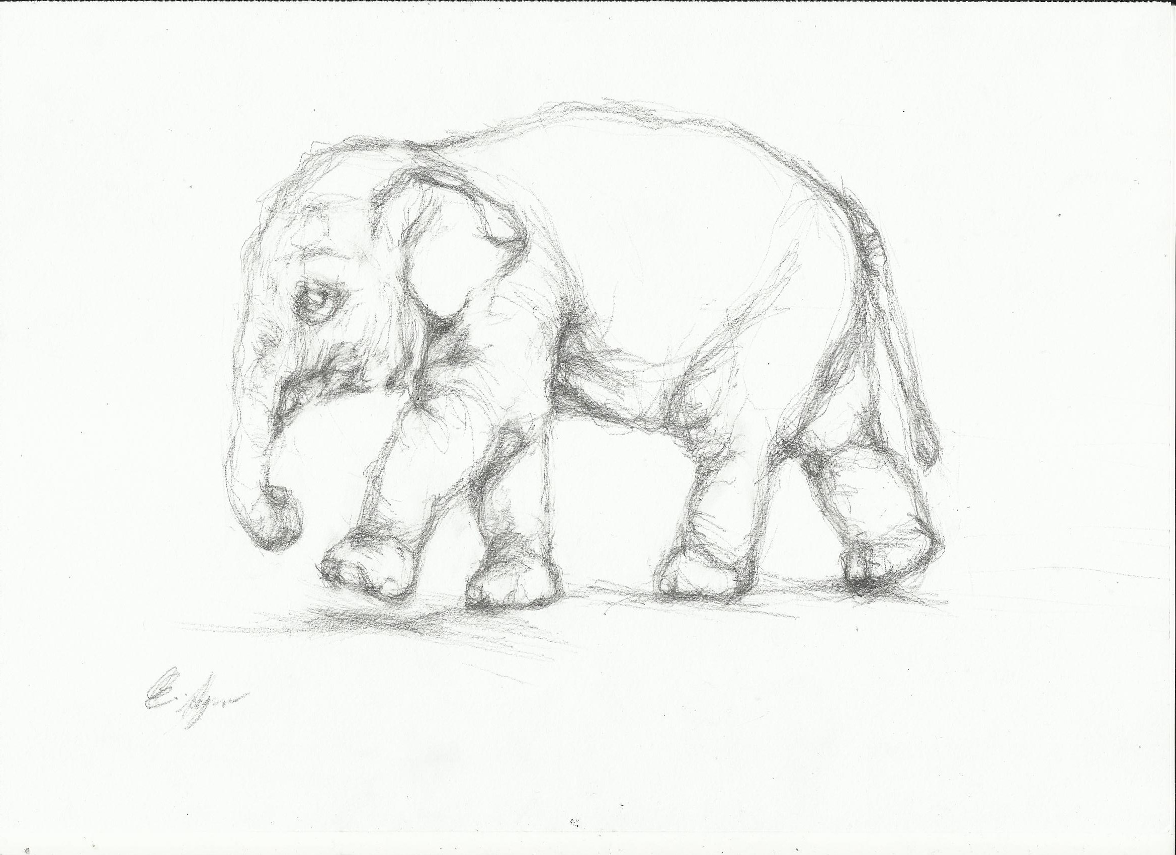 2338x1700 Elephant Sketch Nightwithdeer - Elephant Sketch Picture