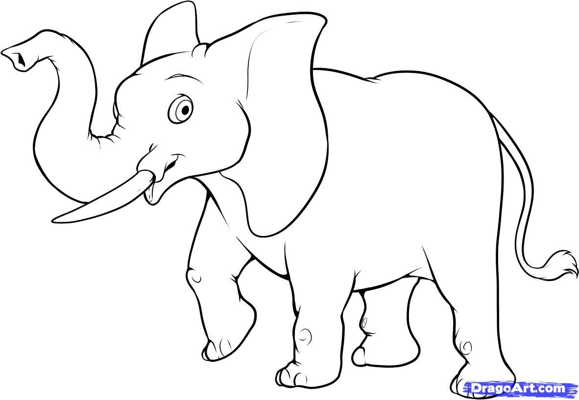 simple elephant outline drawing