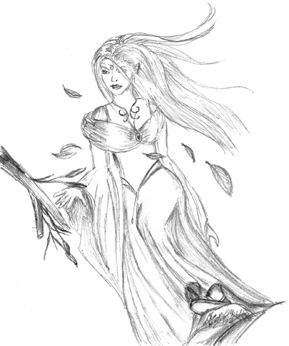 568x680 Council Of Elrond Lotr News Amp Information Elf Lady Sketch - Elf Sketch