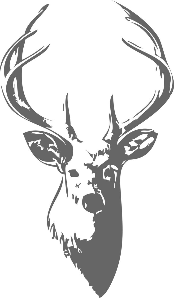 736x1260 Pictures Of Deer Head Drawings Best Deer Head Tattoo Ideas On - Elk Head Sketch