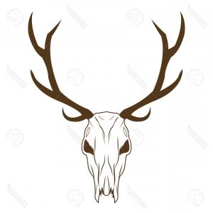 300x300 Stock Illustration Sketch Of Elk Skull Sohadacouri - Elk Head Sketch