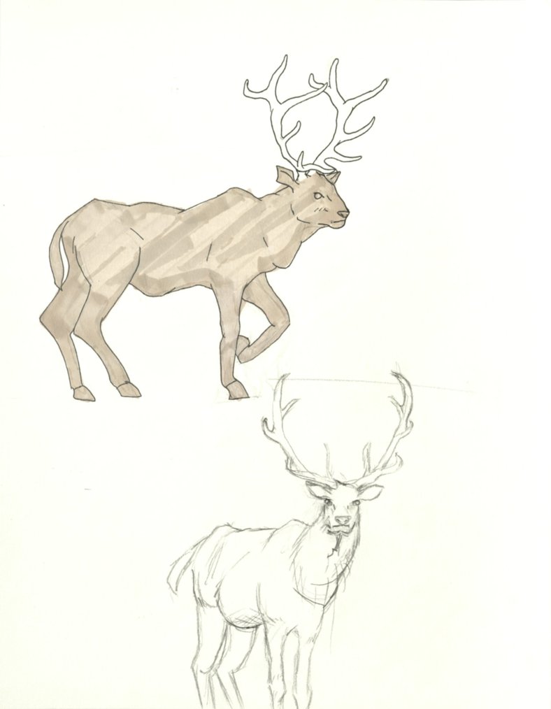 788x1014 Elk Sketch 001 By Finnishvallhund - Elk Sketch