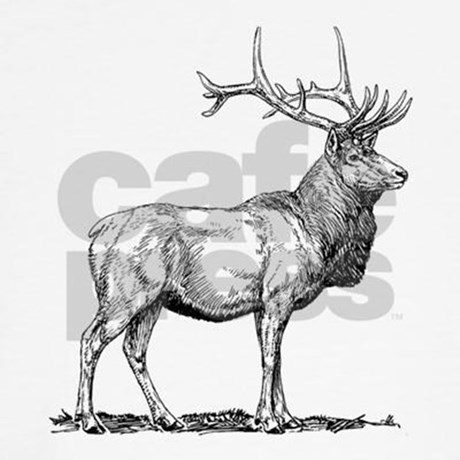 460x460 Elk Sketch Classic Thong By Animalsandwildlifegifts2 - Elk Sketch
