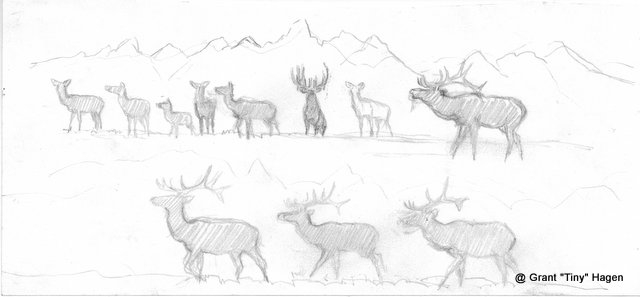 640x297 Elk Sketch In Front Of The Tetons Hagen Ink - Elk Sketch