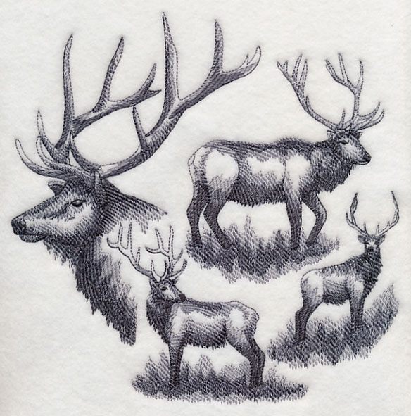 584x591 Machine Embroidery Designs - Elk Sketch