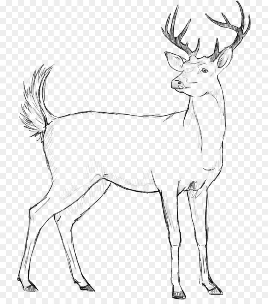 900x1020 Reindeer Elk Line Art Horn - Elk Sketch
