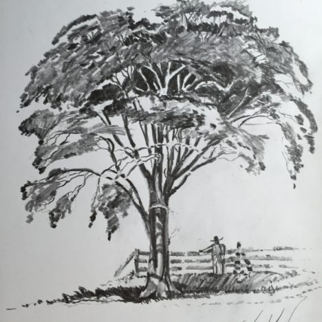 468x468 Everyday Life Ojwla - Elm Tree Sketch