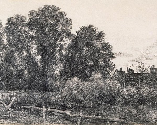 600x480 Landscape With Elm Tress And A House Poster By John Constable - Elm Tree Sketch