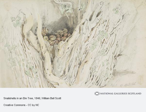 600x464 Snailshells In An Elm Tree National Galleries Of Scotland - Elm Tree Sketch