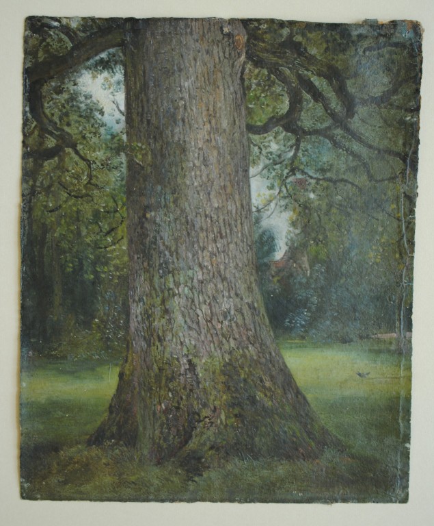 635x768 Study Of The Trunk Of An Elm Tree John Constable Vampa Search - Elm Tree Sketch