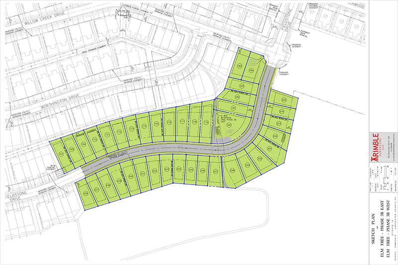800x533 Elm Tree Sketch Cb Burkholder - Elm Tree Sketch