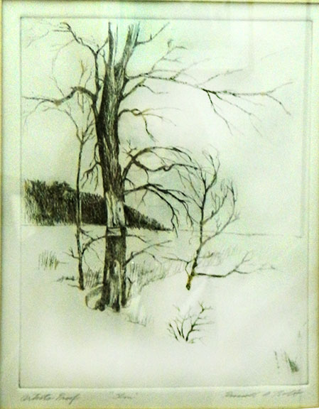 449x576 Elm Tree - Elm Tree Sketch
