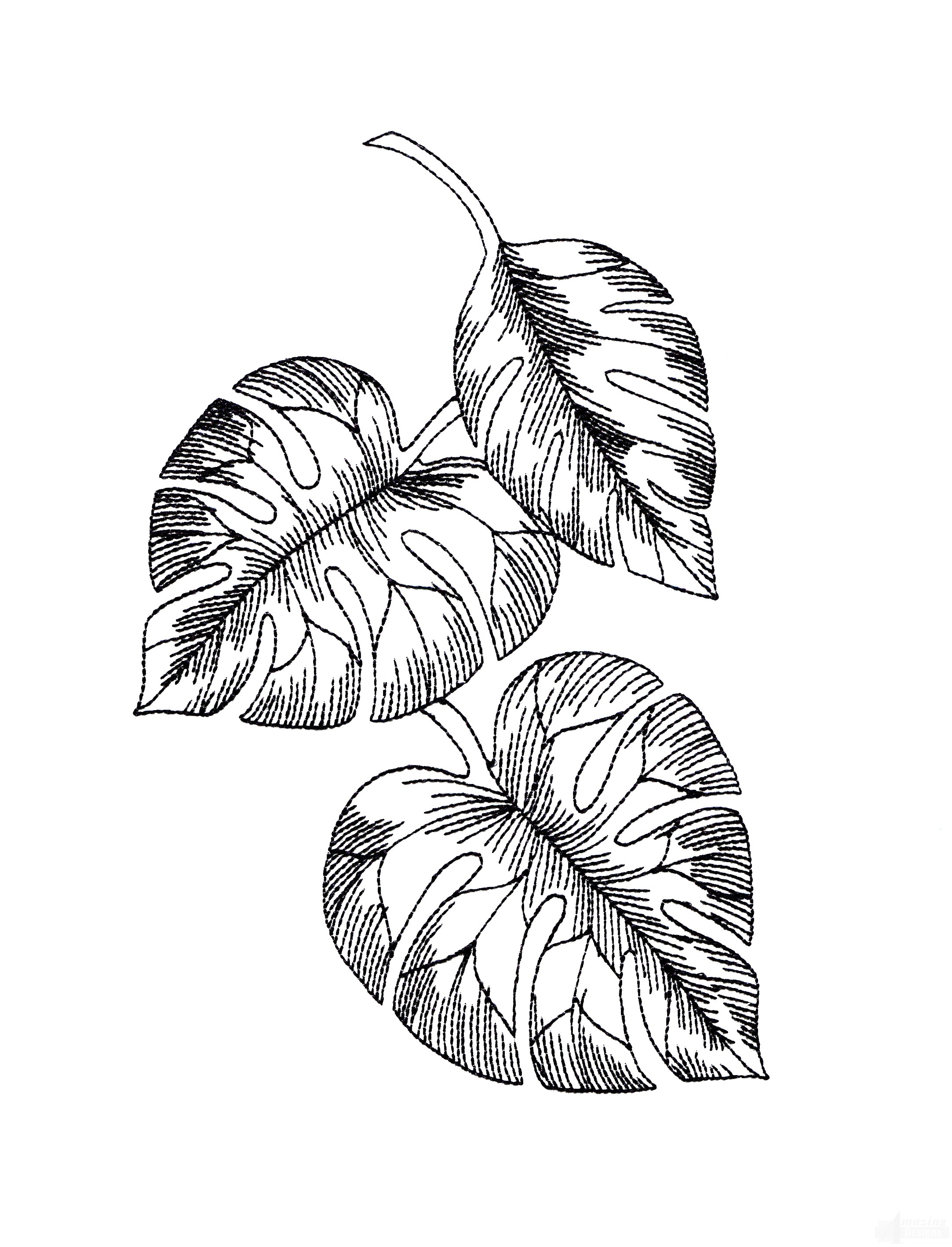 2165x2836 Bot424 Tropical Floral Sketch Embroidery Design Classic Single Design - Embroidery Designs Sketch