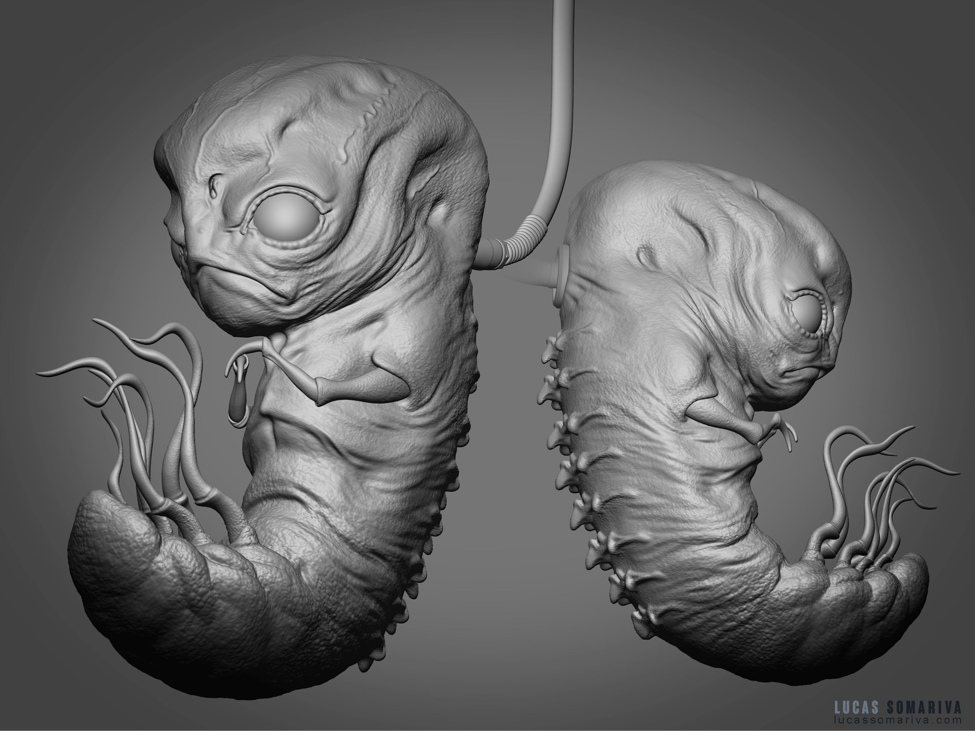 1920x1440 Lucas Somariva - Embryo Sketch