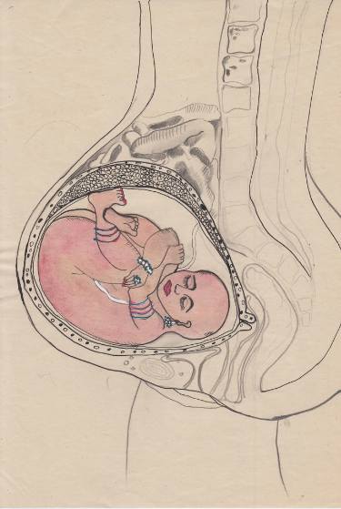 375x559 Woman Embryo Drawing By Alexandra Holownia Saatchi Art - Embryo Sketch