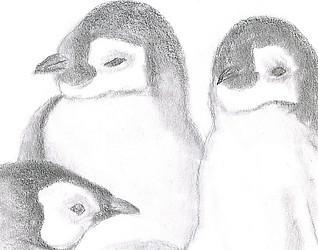 318x250 Emperor Penguin Board Game - Emperor Penguin Sketch