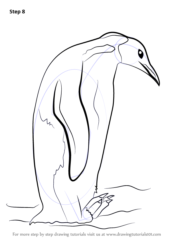 596x842 Learn How To Draw An Emperor Penguin (Antarctic Animals) Step By - Emperor Penguin Sketch