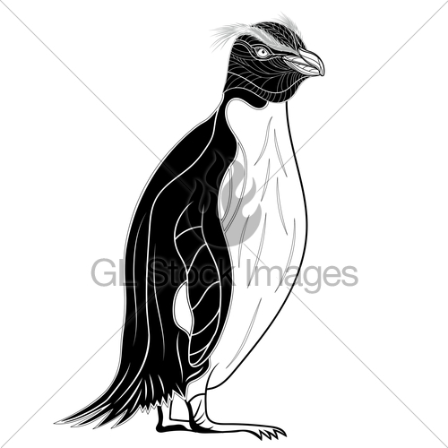 500x500 Penguin Emperor Bird Head As Symbol For Mascot Or Emblem Gl - Emperor Penguin Sketch
