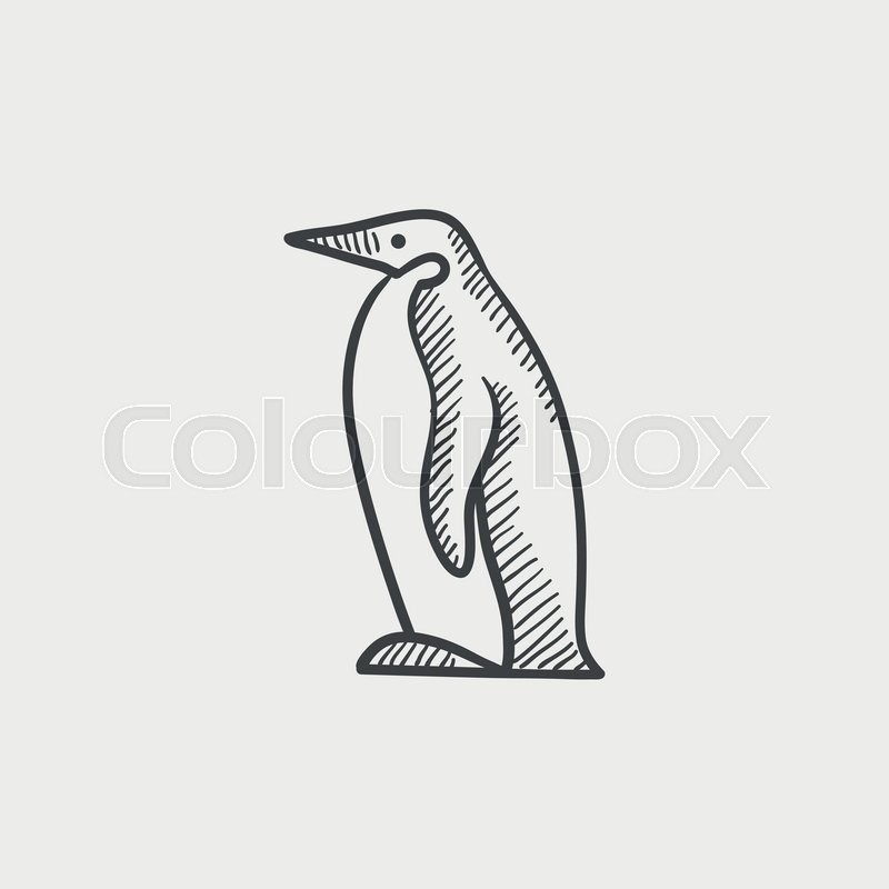 800x800 Penguin Sketch Icon For Web, Mobile And Infographics. Hand Drawn - Emperor Penguin Sketch