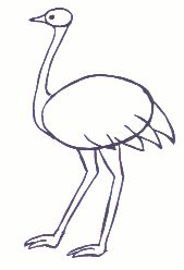 169x248 61 Best Emu Images Emu, Baby Painting And Duck - Emu Sketch