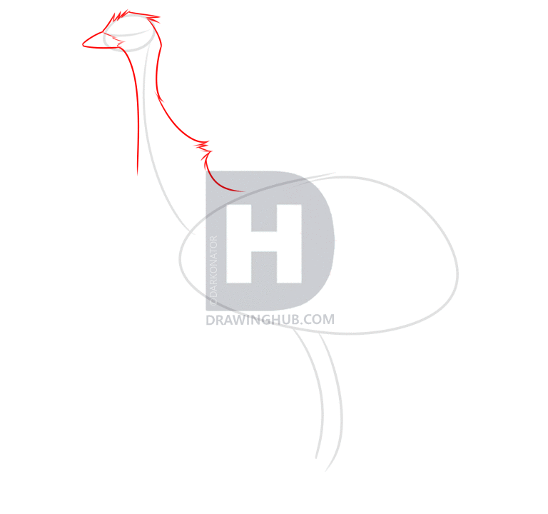 768x720 How To Draw An Emu Bird, Step By Step, Drawing Guide, By - Emu Sketch