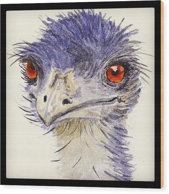 537x618 Watercolour Sketch Of Emu Photograph By Ruca Cao - Emu Sketch