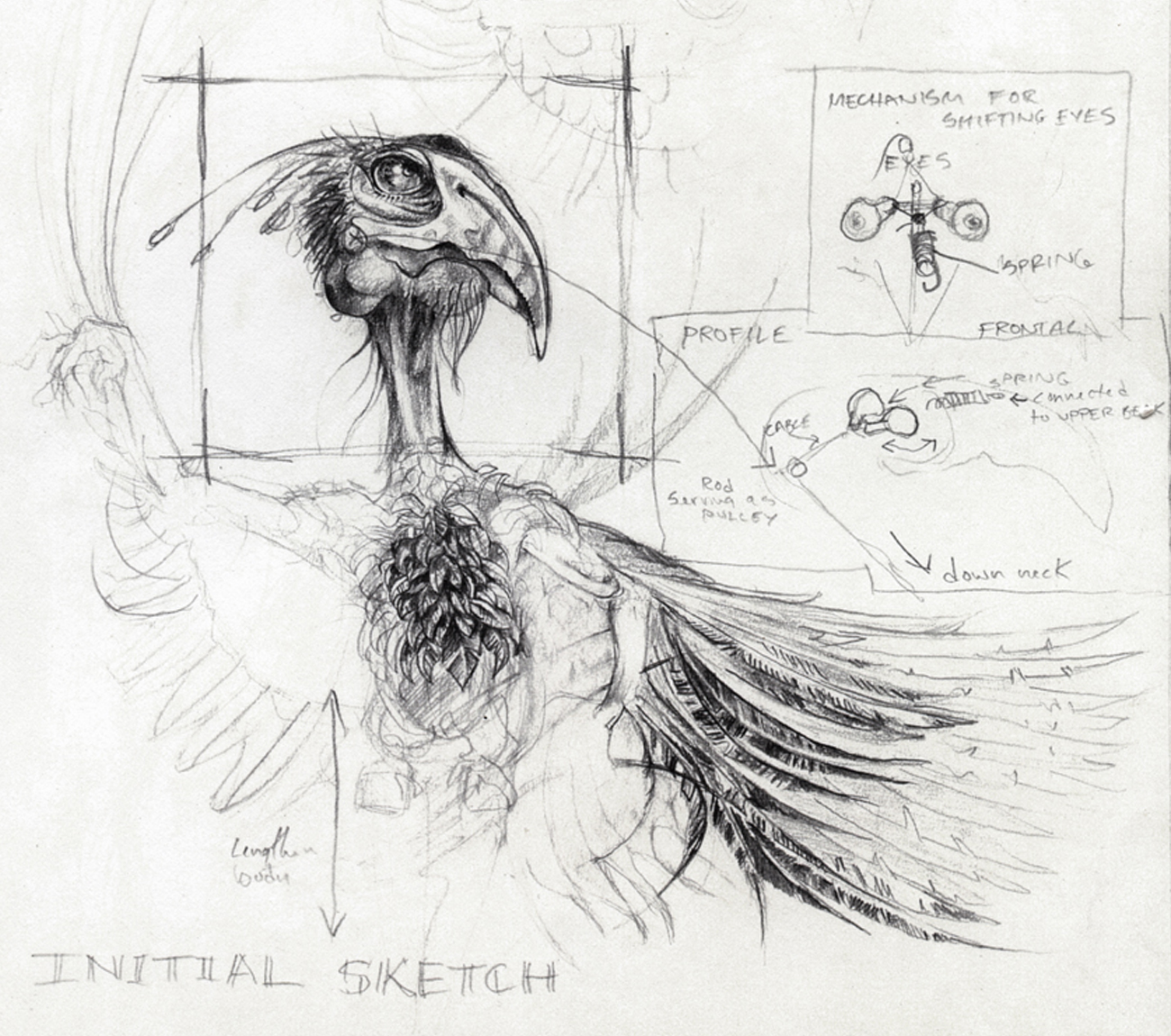 1300x1150 Bird Sketch With Diagrams - Engel Sketch