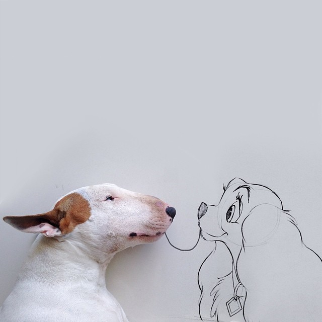 640x640 Dog Owner Creates Fun Illustrations With His Bull Terrier Bored - English Bull Terrier Sketch