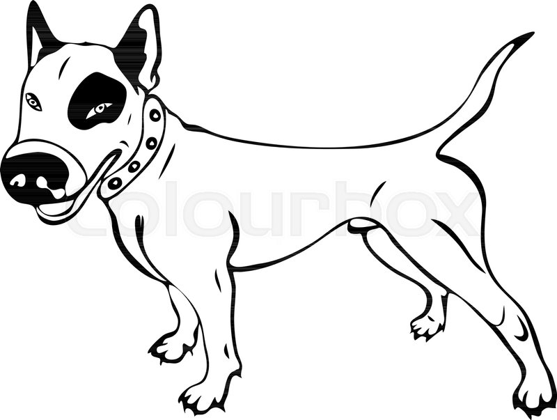 800x603 Hand Drawn Dog English Bull Terrier, Contour Drawing In Cartoon - English Bull Terrier Sketch