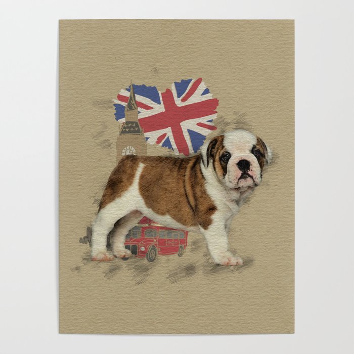 700x700 English Bulldog Puppy Sketch Poster By K9printart Society6 - English Bulldog Sketch