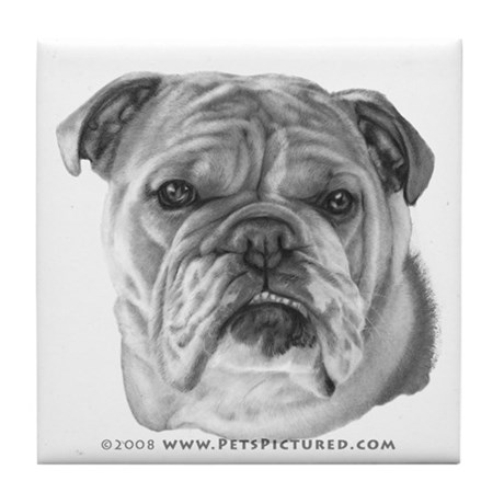 460x460 English Bulldog Sketch Coasters - English Bulldog Sketch