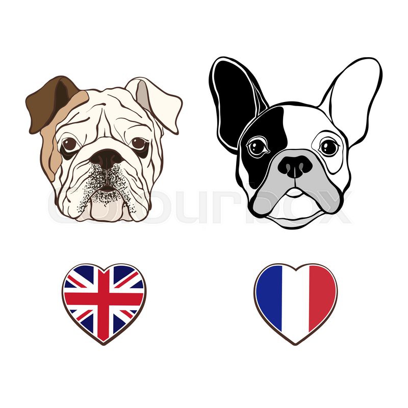 800x800 English Bulldog Face And French Bulldog Face With Heart Flags - English Bulldog Sketch