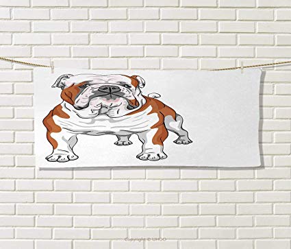 425x363 Anniutwo English Bulldog,hair Towel,muscular Dog - English Bulldog Sketch