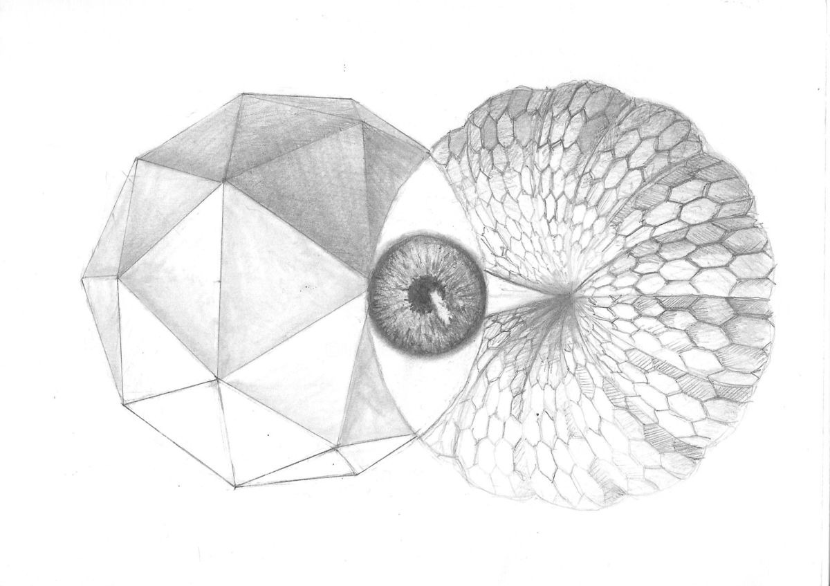 1200x847 Sketch Book 25 (Enrique Etievan) - Enrique Sketch