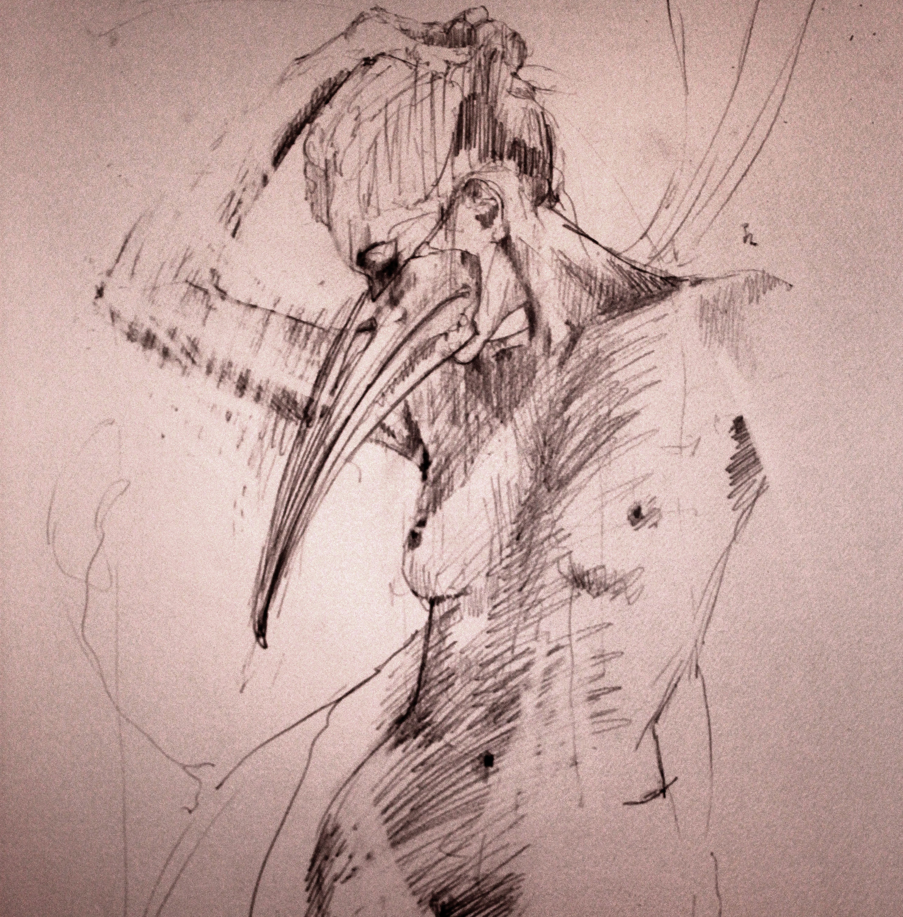 2968x3013 Sketch For Envy Carne Griffiths Blog - Envy Sketch
