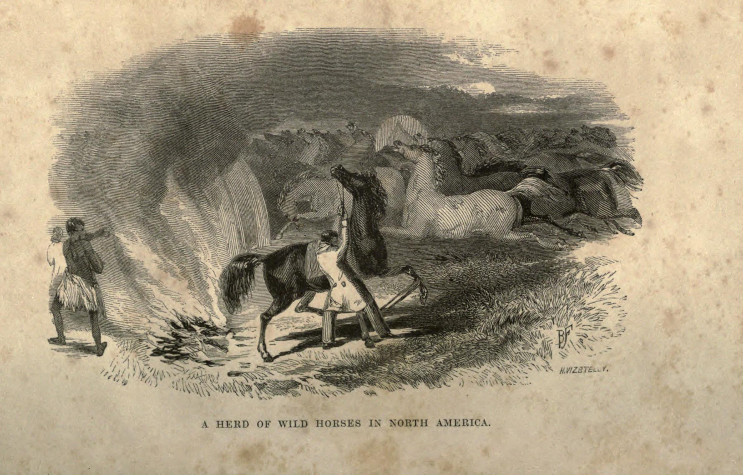 2384x1524 Filethe Horse And His Rider, Or, Sketches And Anecdotes Of The - Equestrian Sketches