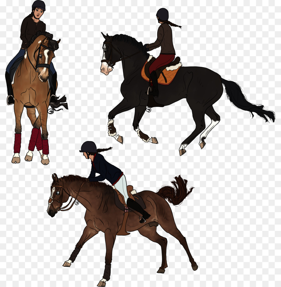 900x920 Horse Drawing Hunt Seat Digital Art - Equestrian Sketches