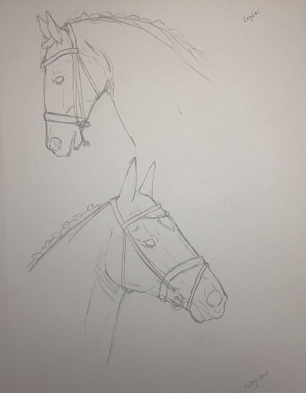 Equestrian Sketches at PaintingValley.com | Explore collection of ...