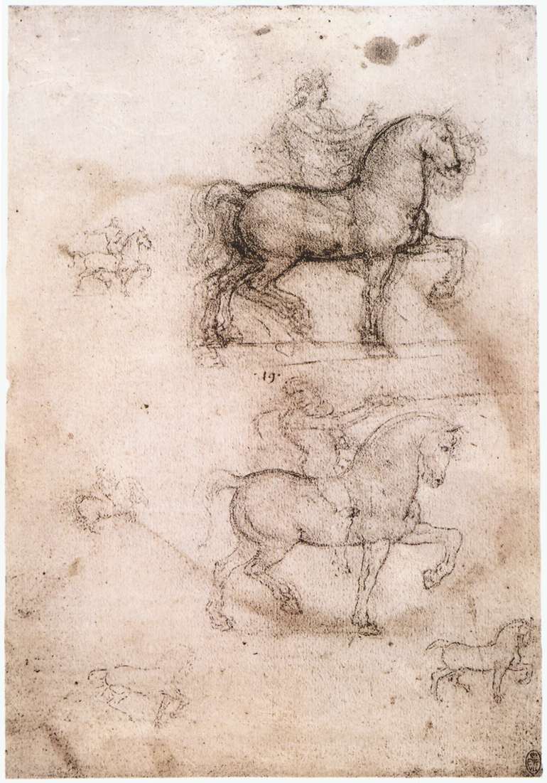 770x1101 Sketches For Equestrian Monument By Leonardo Da Vinci History - Equestrian Sketches