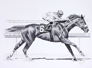 300x222 Charcoal Horse Drawings Fine Art America - Equestrian Sketches