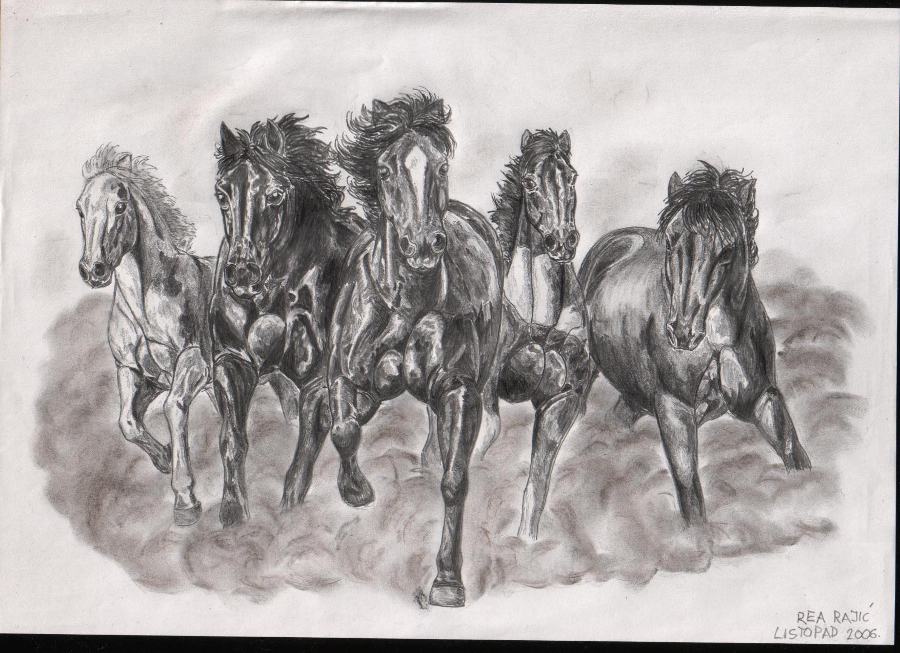 1755x1275 Drawn Horse Wild Horse - Equestrian Sketches