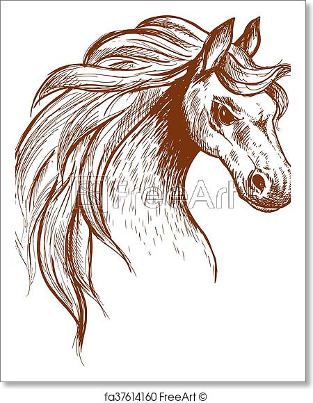 450x580 Free Art Print Of Wild Feral Horse In Aggressive Posture Sketch - Equine Sketches