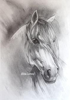 236x334 77 Best Sketches Of Horses Images Drawings Of - Equine Sketches