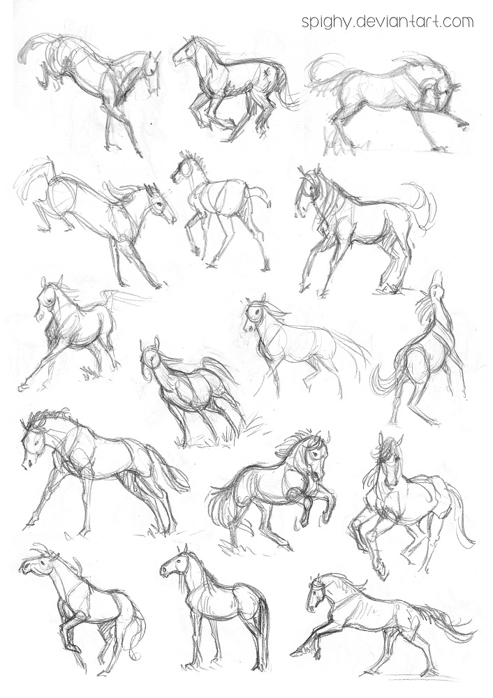 706x1000 Horses Quick Sketches By Spighy - Equine Sketches